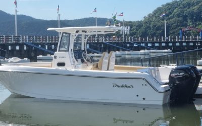 WhatsApp Image 2025-08-12 at 08.39.21